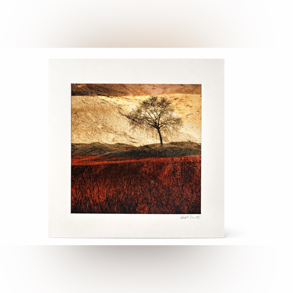 Vincent DiLeo “Isolation” Signed Limited Edition 4/95 Photomontage Art 20x20
